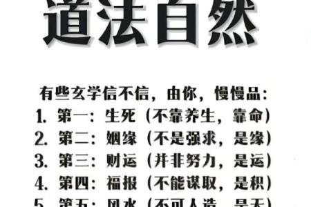 探寻五行木命格的奥义：如何利用自然之力助你人生腾飞？