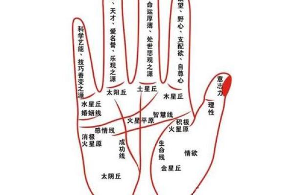 女命晚婚之道：适宜的生肖助你开启幸福人生