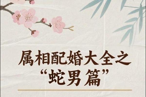 1997年属蛇人的命理探究：探索他们的性格与福祉之路