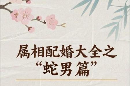 1997年属蛇人的命理探究：探索他们的性格与福祉之路