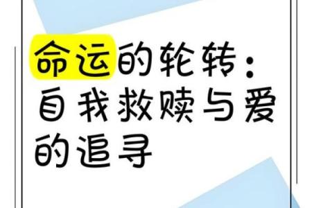 95年正月出生的命运解析：追寻光辉的一生