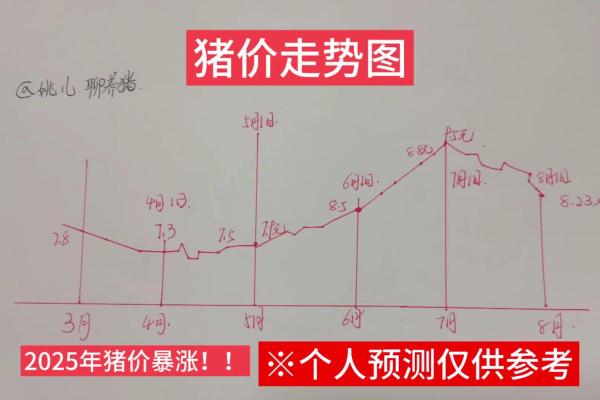 2009年属猪之人命理分析:性格、运势与发展趋势解析 2009年属猪之人命理分析:性格、运势与发展趋势解析