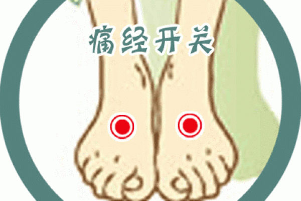 耳垂向上卷的命理解读与生活启示