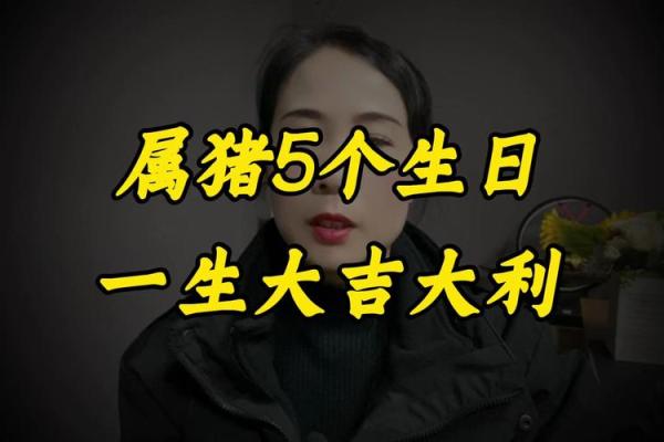 属猪农历11月出生的命理解析与人生启示