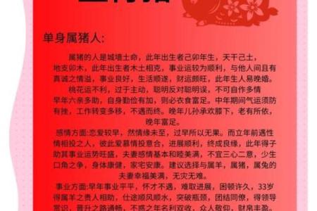 2009年属猪之人命理分析：性格、运势与发展趋势解析