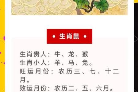 揭示30岁属什么生肖与命运的奥秘，一生的方向与选择！