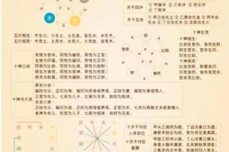 探寻2016年6月的命运之轮：命理与生活的微妙联系