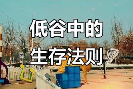 揭秘命杀：探寻人生逆境中的生存智慧与力量