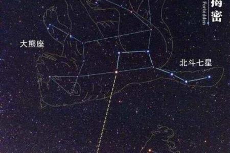 2028年出生宝宝命运解析：星辰与命格的美丽交响曲