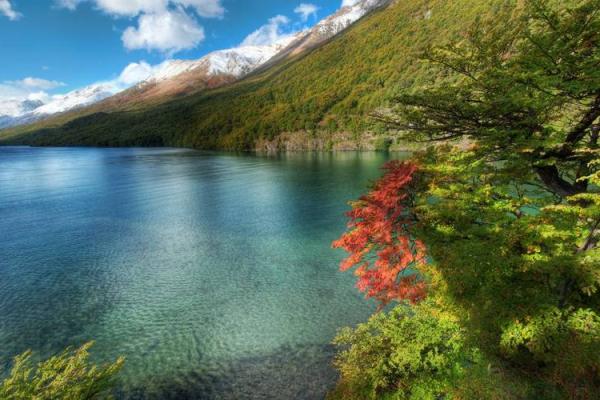 1990年马年出生的人:命理解读与人生启示 1990年马年出生的人:命理解读与人生启示