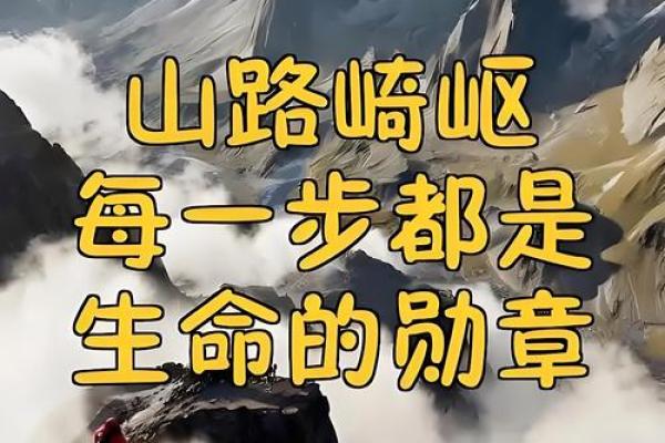 路旁土命的数字之旅:探寻生命的意义与方向 路旁土命的数字之旅:探寻生命的意义与方向