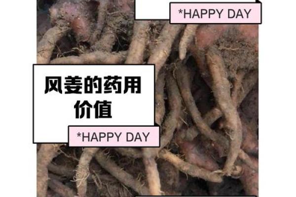 土槿皮——中药材中的瑰宝,各种命字背后的故事与价值 土槿皮——中药材中的瑰宝,各种命字背后的故事与价值