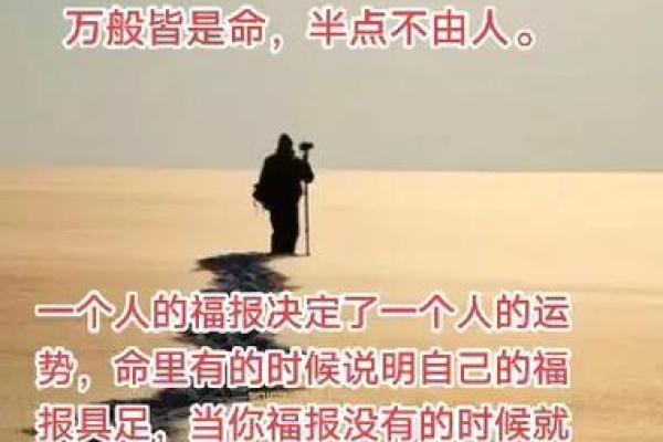 命与运:人生道路上不可或缺的双重因素 命与运:人生道路上不可或缺的双重因素