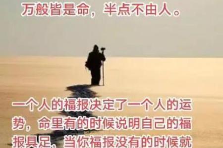 命与运：人生道路上不可或缺的双重因素