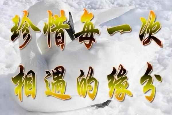 命亦缘,缘亦命:揭示人生深意的歌曲之美 命亦缘,缘亦命:揭示人生深意的歌曲之美