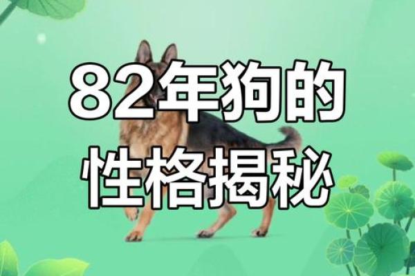 1982年属狗,五行命理与人生运势的深度解析 1982年属狗,五行命理与人生运势的深度解析