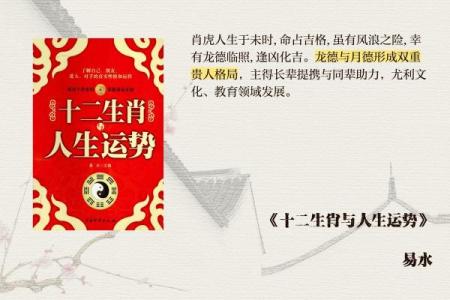 2022年：虎年运势与命理的深度解析