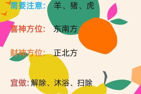 揭秘命运：不同生肖的命运解析与改运小窍门