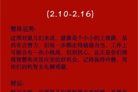 1996年属鼠的人：聪明机智，适应力强，实现人生理想的秘诀