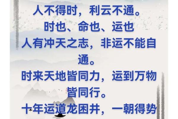 探索“命光”的深刻含义与生活启示