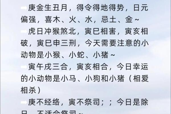 揭秘癸酉壬子命的精彩人生与命理特征 揭秘癸酉壬子命的精彩人生与命理特征