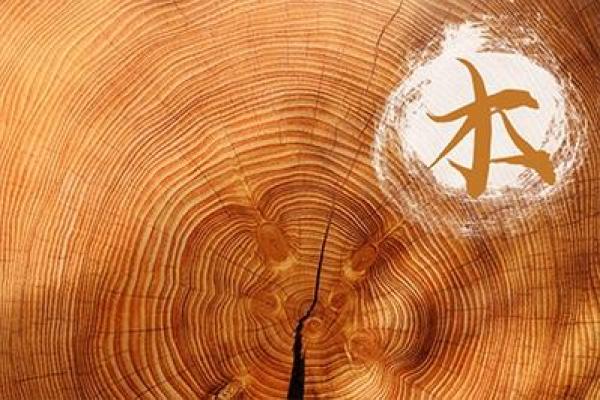 木命之人:如何在四季变化中找到最佳契机 木命之人:如何在四季变化中找到最佳契机