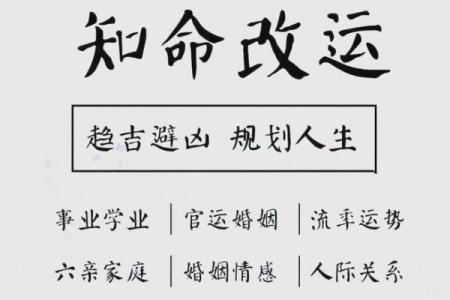 1967年出生的人命运解析：独特与机遇并存的精彩人生