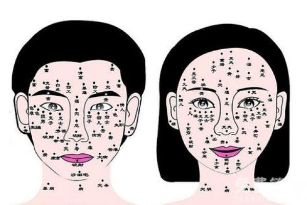 测字与命格:解析你的命运与未来 测字与命格:解析你的命运与未来