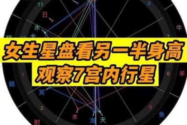 测字与命格:解析你的命运与未来 测字与命格:解析你的命运与未来