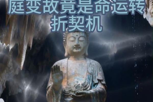 属猪人51岁命运解析：丰盈人生与智者之道