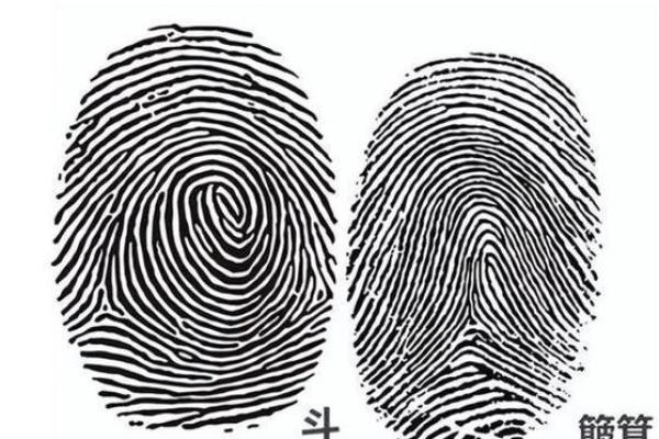 火命马开店选择最佳方向的奥秘解析 火命马开店选择最佳方向的奥秘解析