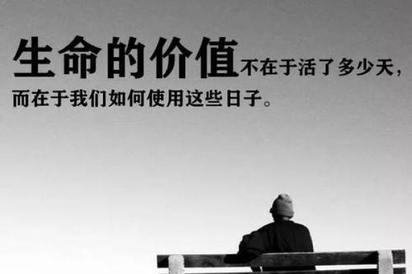 以命换命:探讨生命的价值与平衡之道 以命换命:探讨生命的价值与平衡之道
