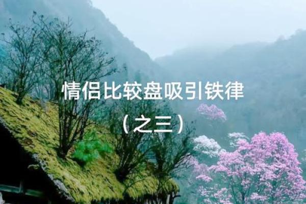 壬戌男命倾心女生类型，揭示情感世界的奥秘与吸引力！