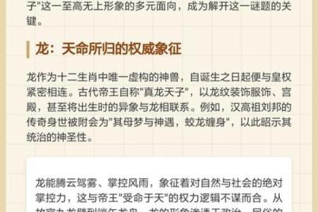 农历十二生肖中的龙：命理解析与运势探讨