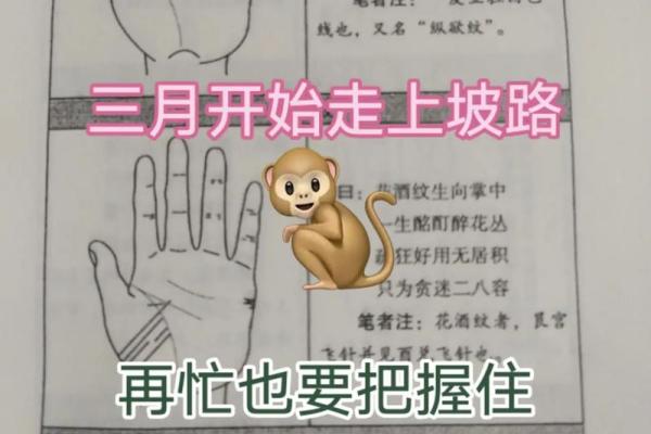 猴年出生的朋友,你知道1980年属猴的命理解析吗? 猴年出生的朋友,你知道1980年属猴的命理解析吗?