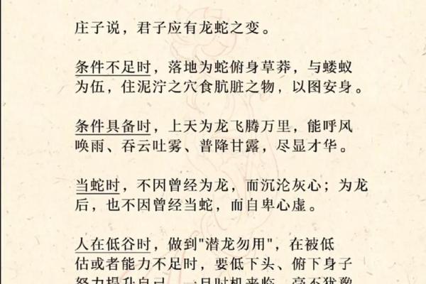 1978年属蛇人命运解析：看你该如何把握人生机遇！