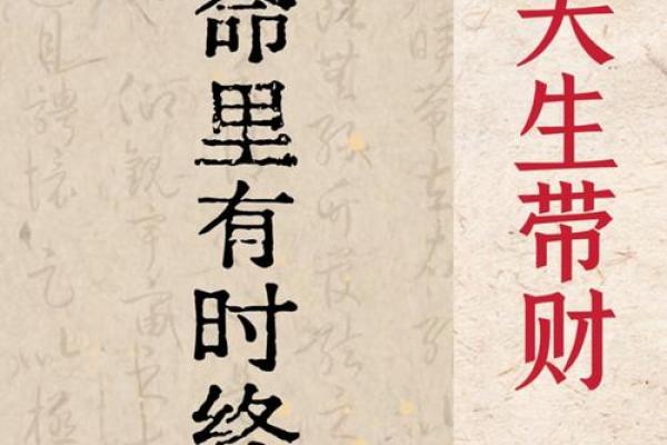 女身男命命里带财的深意与人生启示