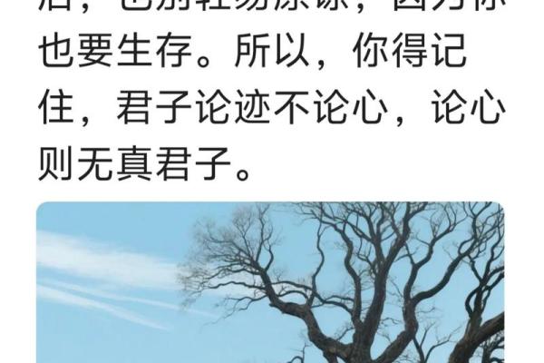 涧下水命格:探索人生的深层哲理与命运之水的流动 涧下水命格:探索人生的深层哲理与命运之水的流动