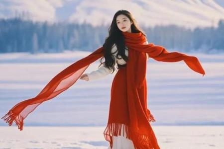 冬月的韵味：感受2015年的独特命运与追寻之旅