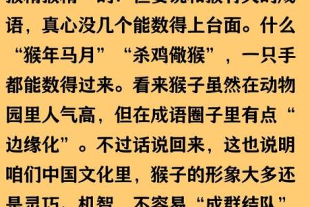 猴年出生的朋友，你知道1980年属猴的命理解析吗？