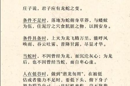 1978年属蛇人命运解析：看你该如何把握人生机遇！
