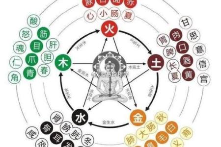 揭示五行缺水女性命格的奥秘与命运走向