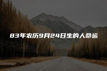 1928年农历出生的命运分析：探寻命理之奥妙与人生的不可思议之旅
