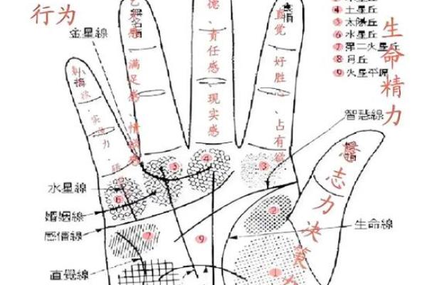 揭秘男生手相:那些注定命好的手相特征 揭秘男生手相:那些注定命好的手相特征