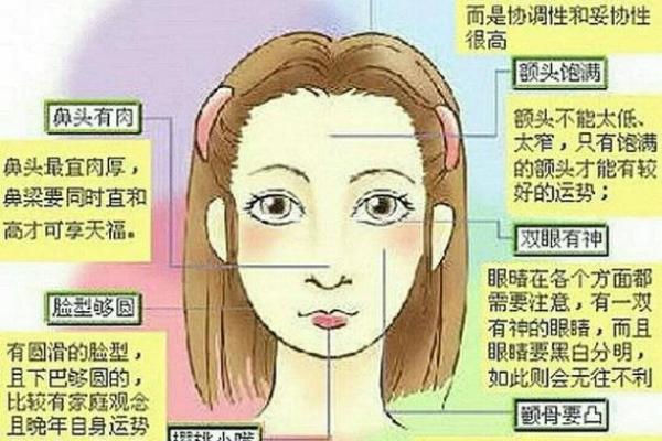 揭秘鼻孔大的命格:他的人生究竟为何如此不同? 揭秘鼻孔大的命格:他的人生究竟为何如此不同?