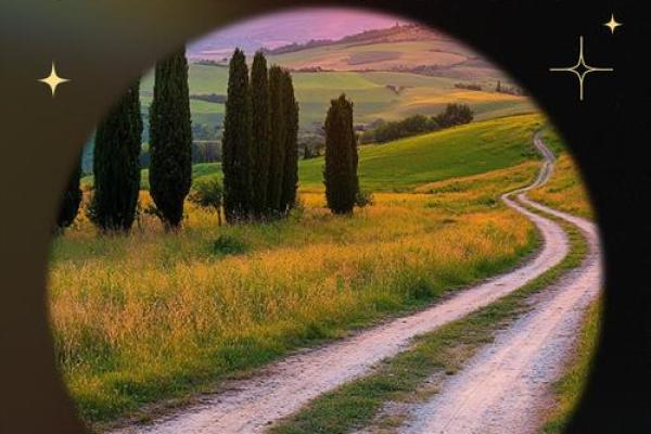 探索顽命的近义词:生命的坚韧与奋斗之路 探索顽命的近义词:生命的坚韧与奋斗之路