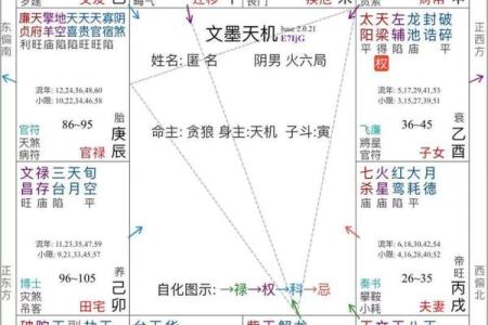 探秘紫薇命盘：天府星的独特魅力与人生影响