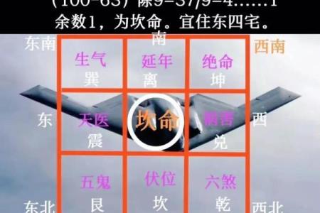 如何根据命年选择最合适的生活节奏与发展方向