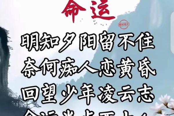 正月十三午时出生的人命运揭秘：天生的聪明才智与独特魅力