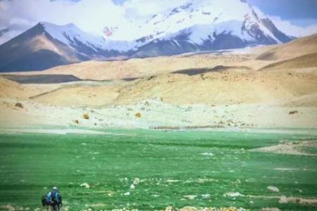 破解1979年出生的24岁命运之谜：命运与机遇的交汇点